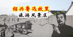 操逼鸡视频中国绍兴-鲁迅故里旅游风景区